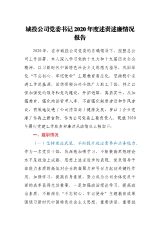 城投公司党委书记2020年度述责述廉情况报告