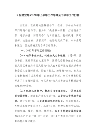 X区林业局2020年上半年工作总结及下半年工作打算