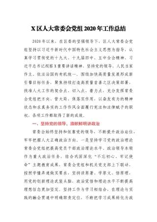 X区人大常委会党组2020年工作总结
