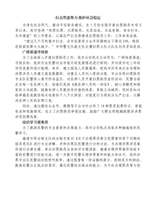 打击黑恶势力 维护社会稳定