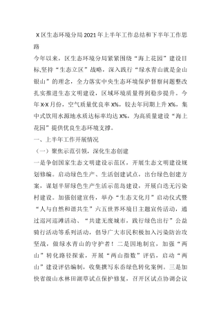 X区生态环境分局2021年上半年工作总结和下半年工作思路1