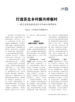 打造苏北乡村振兴样板村睢宁县姚集镇高党村乡村振兴调研报告