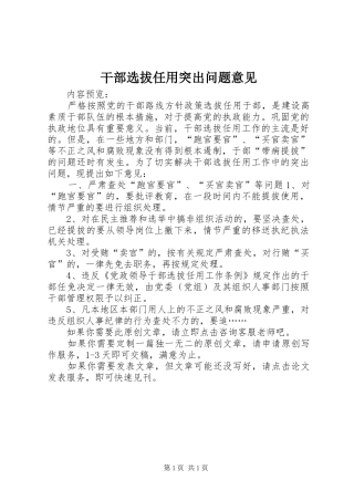 2024年干部选拔任用突出问题意见