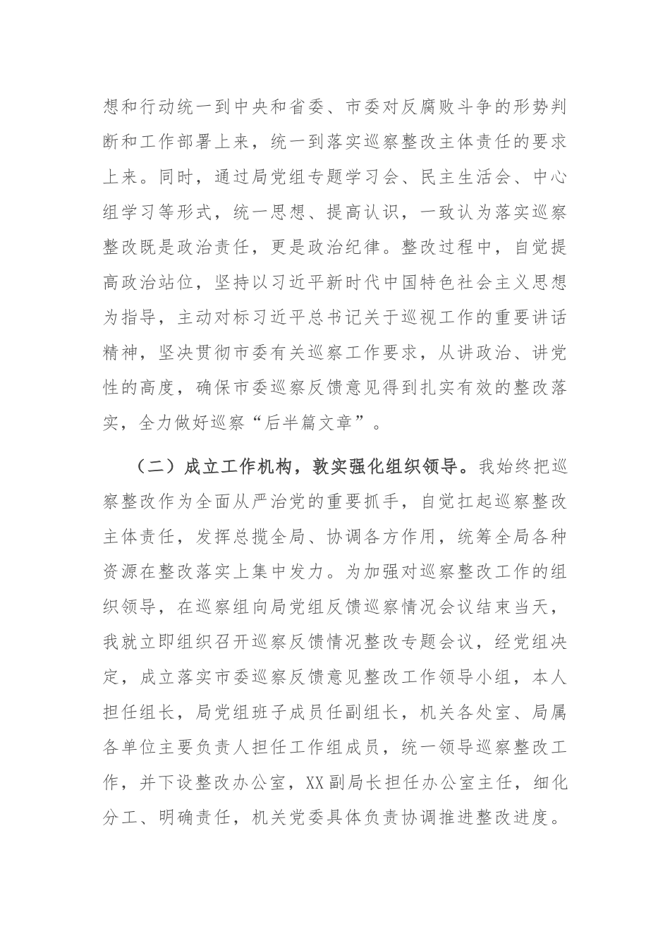 X市局党组书记组织落实市委巡察反馈意见整改工作报告_第2页