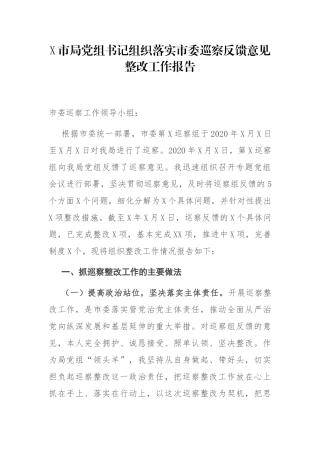 X市局党组书记组织落实市委巡察反馈意见整改工作报告