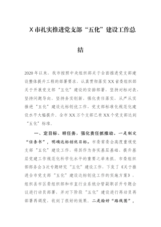 X市扎实推进党支部“五化”建设工作总结