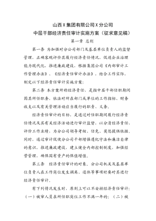 高速公路中层干部经济责任审计工作方案
