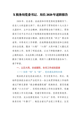 X税务局党委书记、局长2020年述职报告