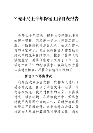 X统计局上半年保密工作自查报告