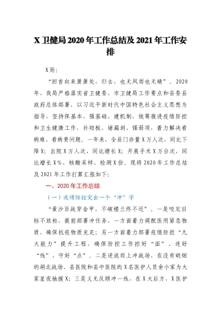 X卫健局2020年工作总结及2021年工作安排