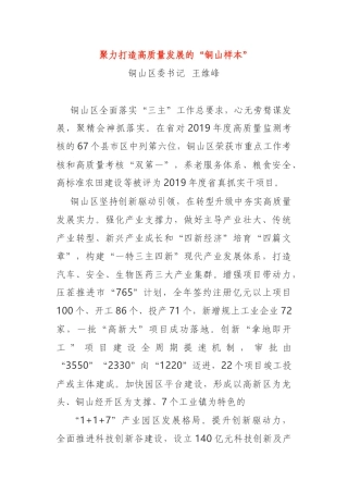 高质量发展总结表彰大会发言材料5篇乡镇书记