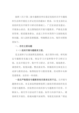 党支部班子组织开展专题教育、严格党员教育管理四个方面检视剖析对照检查材料