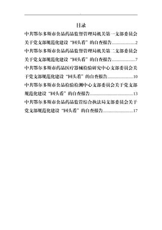 党支部规范化建设回头看自查材料汇编5篇9千字