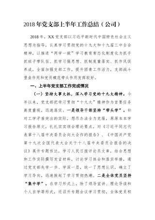 党支部上半年工作总结（公司）