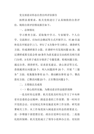 党支部意识形态自查自纠评估报告