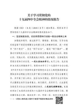 贯彻落实党的十九届四中全会精神情况报告 