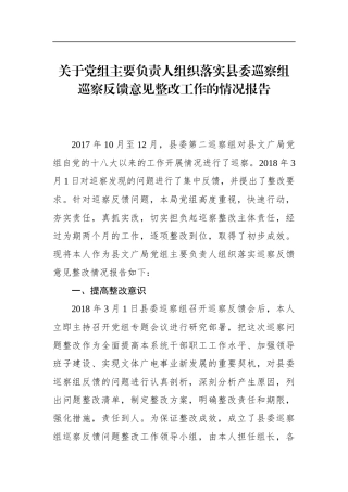 党办：关于党组主要负责人组织落实县委巡察组巡察反馈意见整改工作的情况报告