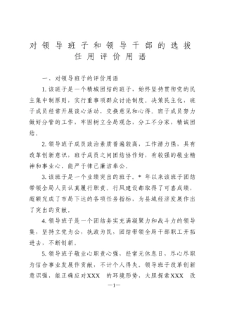 对领导班子和领导干部的选拔任用评价用语