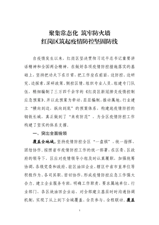 红岗区疫情防控预案经验材料