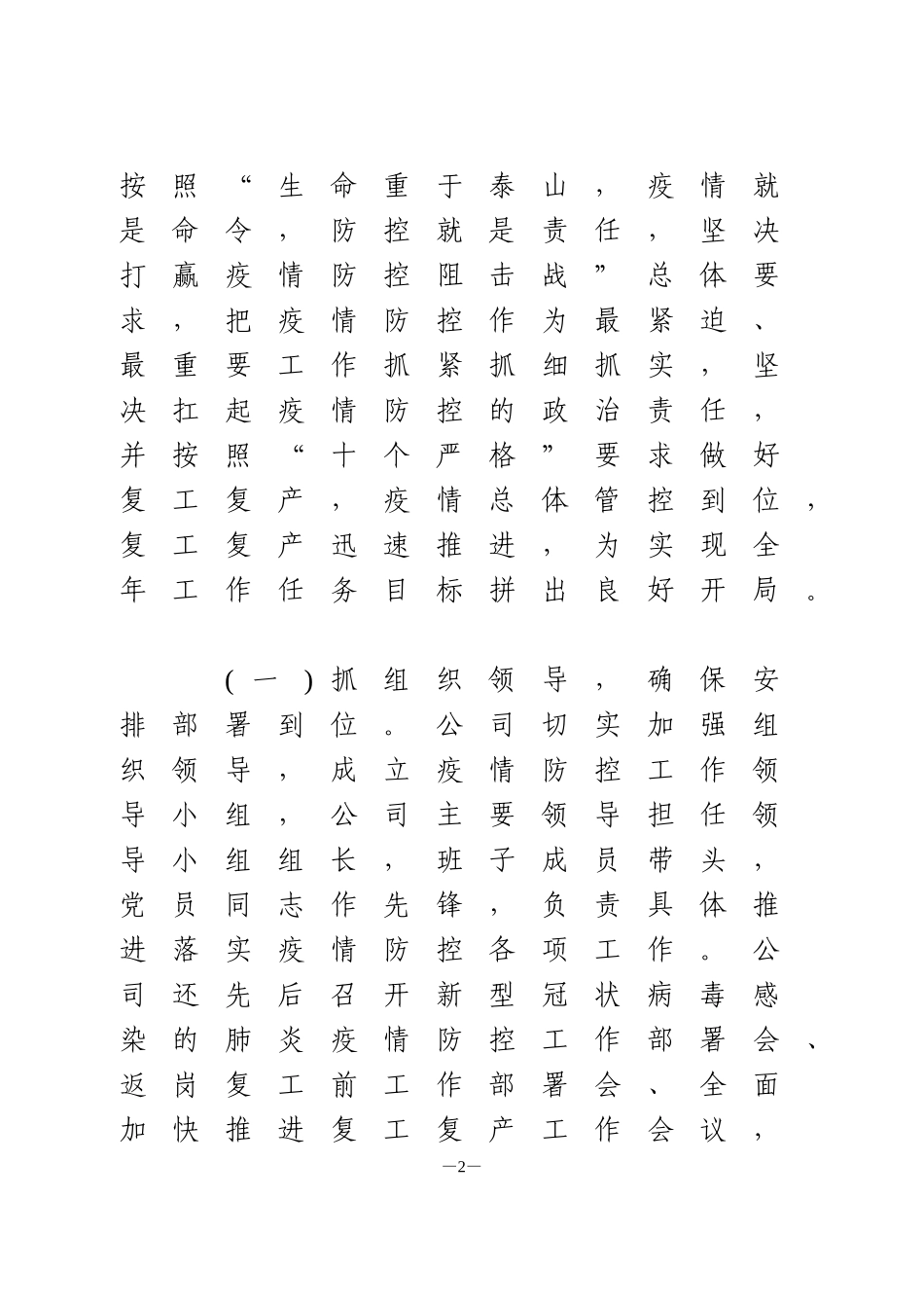 公司2020年上半年经营工作总结_第2页
