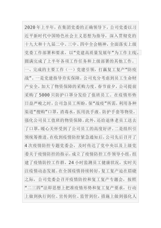 公司党委2020年上半年总结及下半年计划