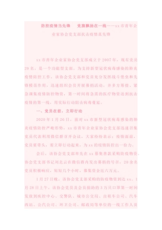 防控疫情当先锋  党旗飘扬在一线——xx市青年企业家协会党支部抗击疫情真先锋