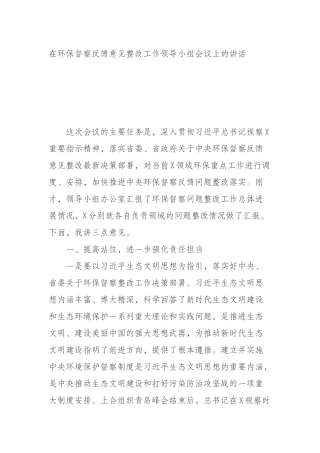 环保督察反馈意见整改工作领导小组会议上的讲话