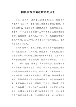 防疫前线那道最靓丽的风景（路政科长防疫先进材料）