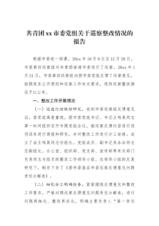 共青团xx市委党组关于巡察整改情况的报告