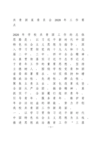 共青团某委员会2020年工作要点