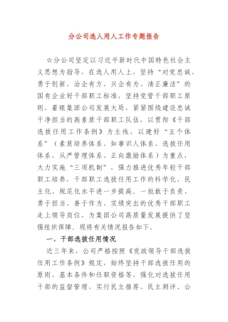 分公司选人用人工作专题报告