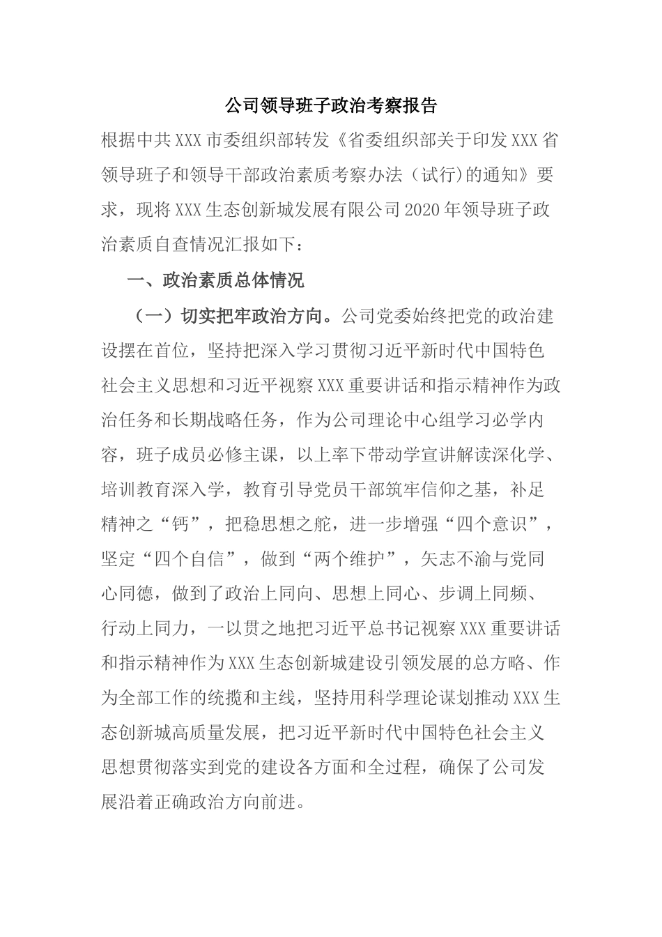 公司领导班子政治考察报告_第1页