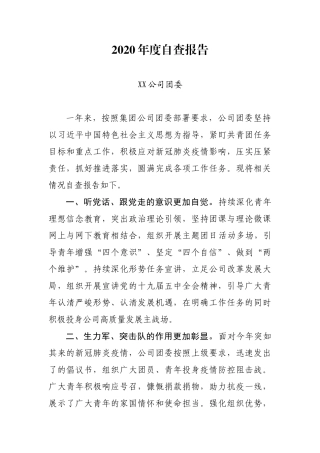 公司团委2020年自查报告