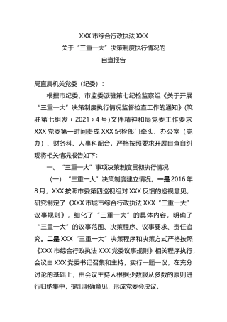 关于“三重一大”决策制度执行情况的自查报告