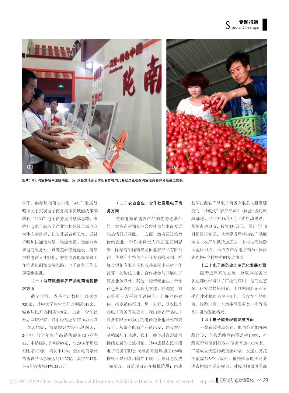 关于成县农产品电子商务发展的调研报告_第2页