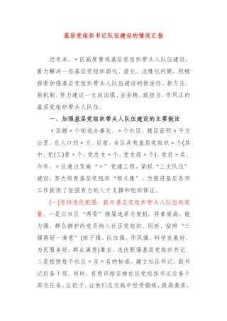 基层党组织书记队伍建设的情况汇报乡镇社区街道