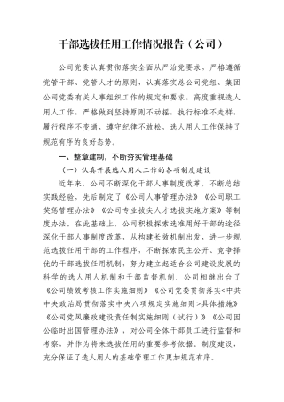 干部选拔任用工作情况报告（公司）