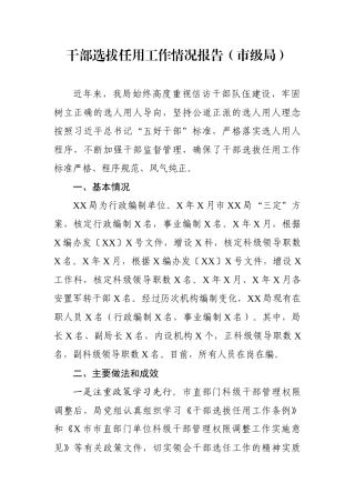 干部选拔任用工作情况报告（市级局）