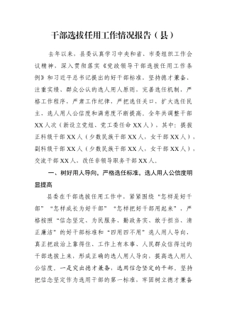 干部选拔任用工作情况报告（县）
