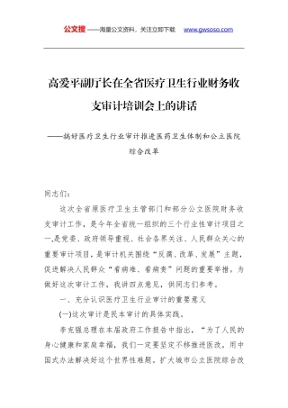 高爱平副厅长：在全省医疗卫生行业财务收支审计培训会上的讲话
