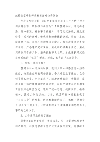 纪检监察干部开展整肃活动心得体会