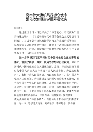 高举伟大旗帜践行初心使命强化政治担当学懂弄通做实