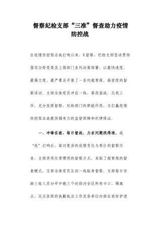 纪检支部督察防疫情况总结