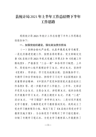 局机关：县统计局2021年上半年工作总结暨下半年工作思路