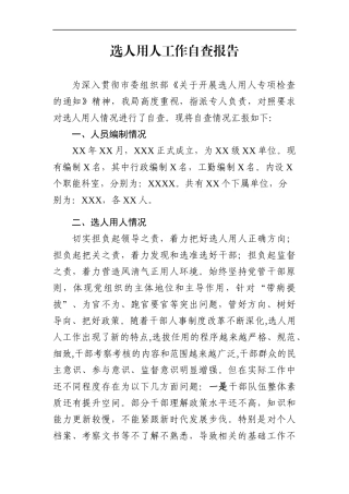 局机关：选人用人工作自查报告
