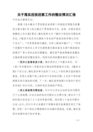 关于落实巡视巡察工作的整改情况汇报