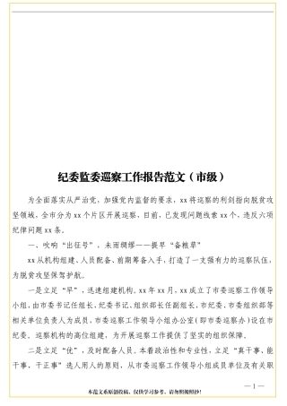 纪委监委巡察工作报告范文（市级） (1)