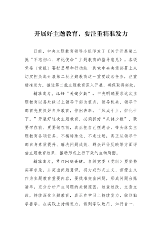 开展好主题教育，要注重精准发力学习体会