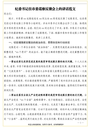 纪委书记在市委巡察反馈会上的讲话范文