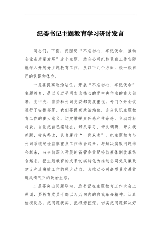 纪委书记主题教育学习研讨发言二_转换